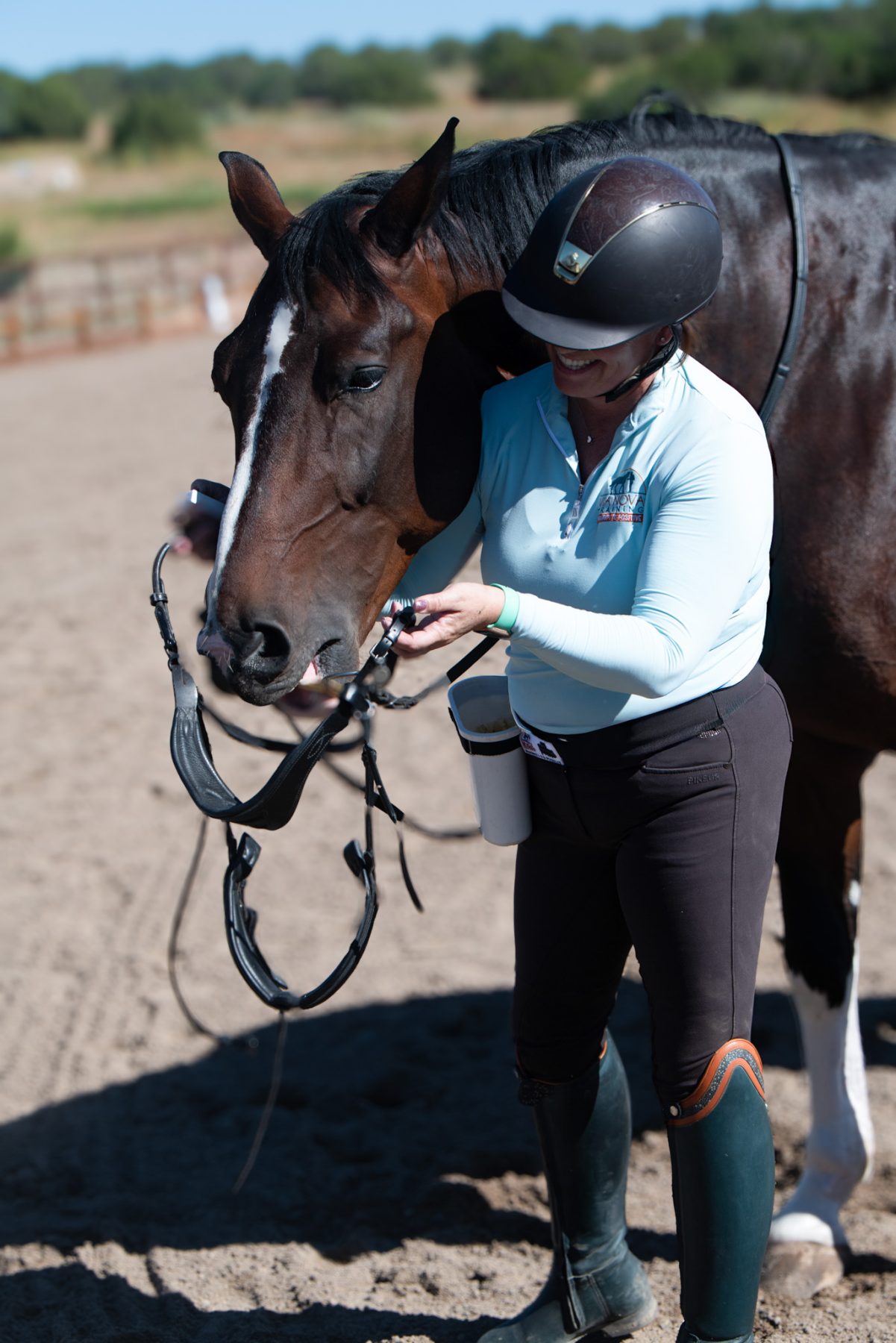 A bay horse eagerly offers his head into a bridle held open by a smiling trainer standing by his side on a sunny day.